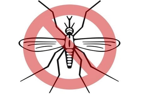 消费保_消费新闻_假期出游驱蚊攻略一定要做好！小心招上这些致命疾病
