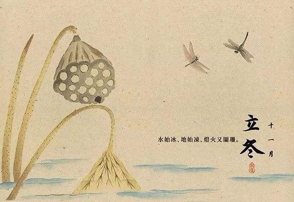 消费保_消费生活_立冬了？收好这份过冬指南！