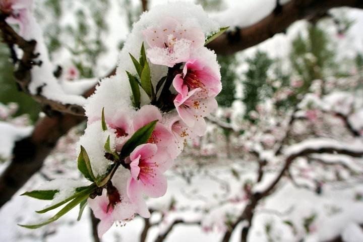 消费保_消费新闻_连广东都下雪了！冷空气持续补充！请收好这份冬季养生指南