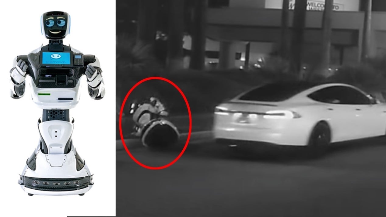 消费保_消费新闻_CES2019趣闻丨skr机器人被特斯拉撞“死”！自动驾驶又要背锅