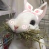 用户评价
