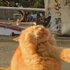 用户发起投诉