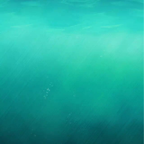 用户发起投诉