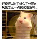 用户评价