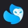 lightlleap