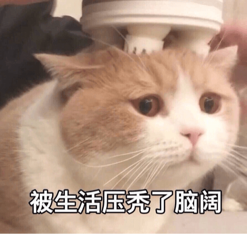用户补充投诉
