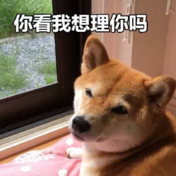 用户补充投诉