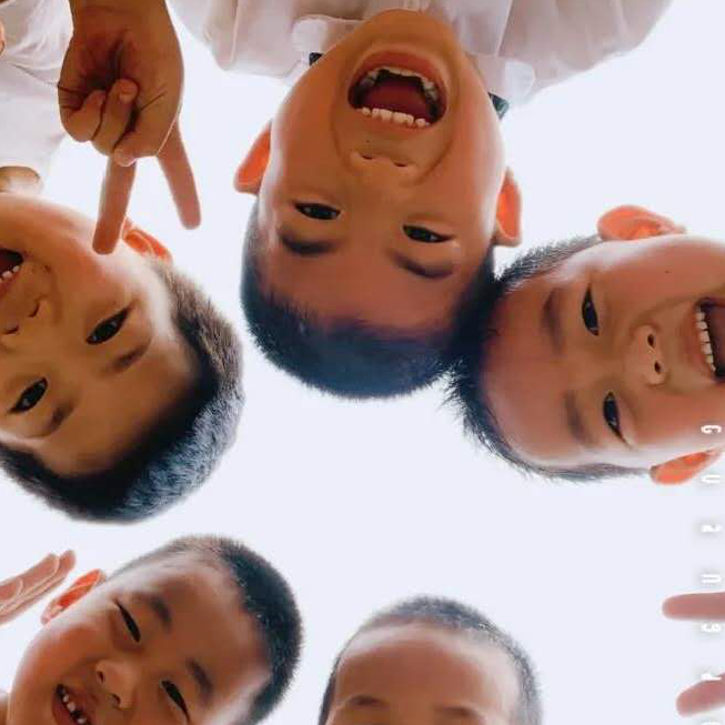 用户评价
