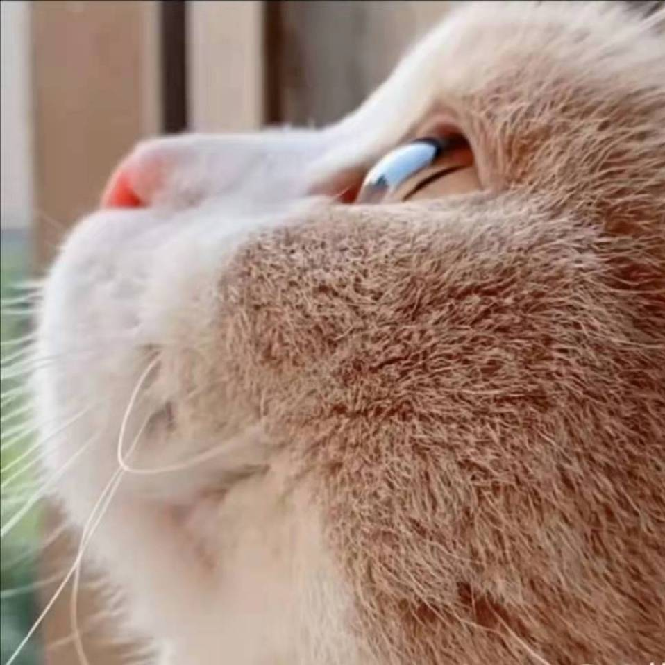 用户发起投诉