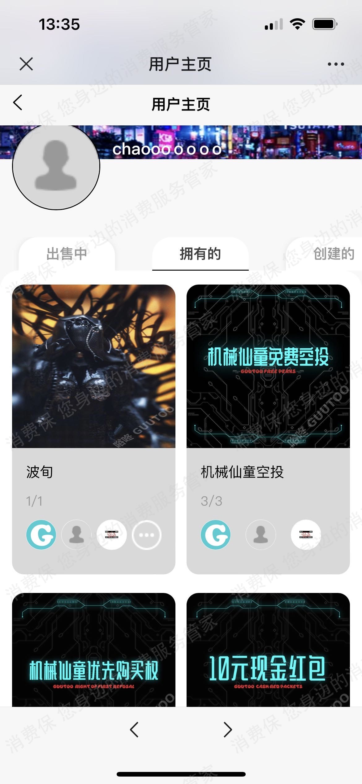 其它品牌独立自有商城