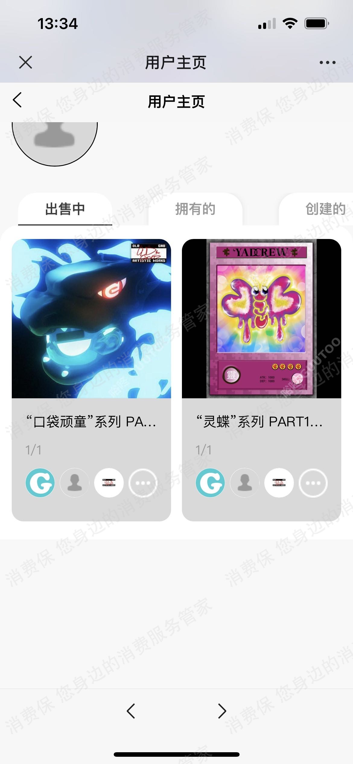 其它品牌独立自有商城