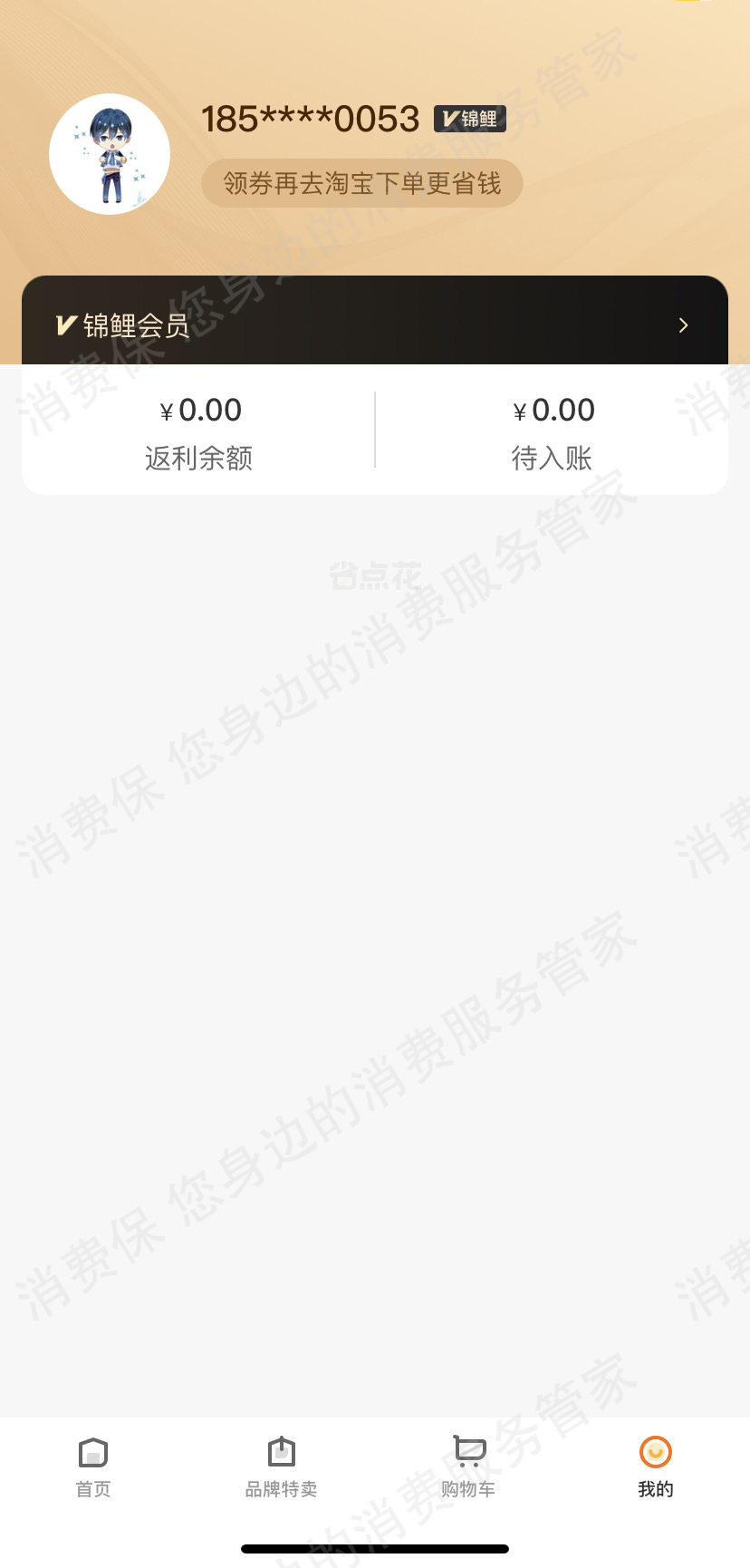 锦鲤购
