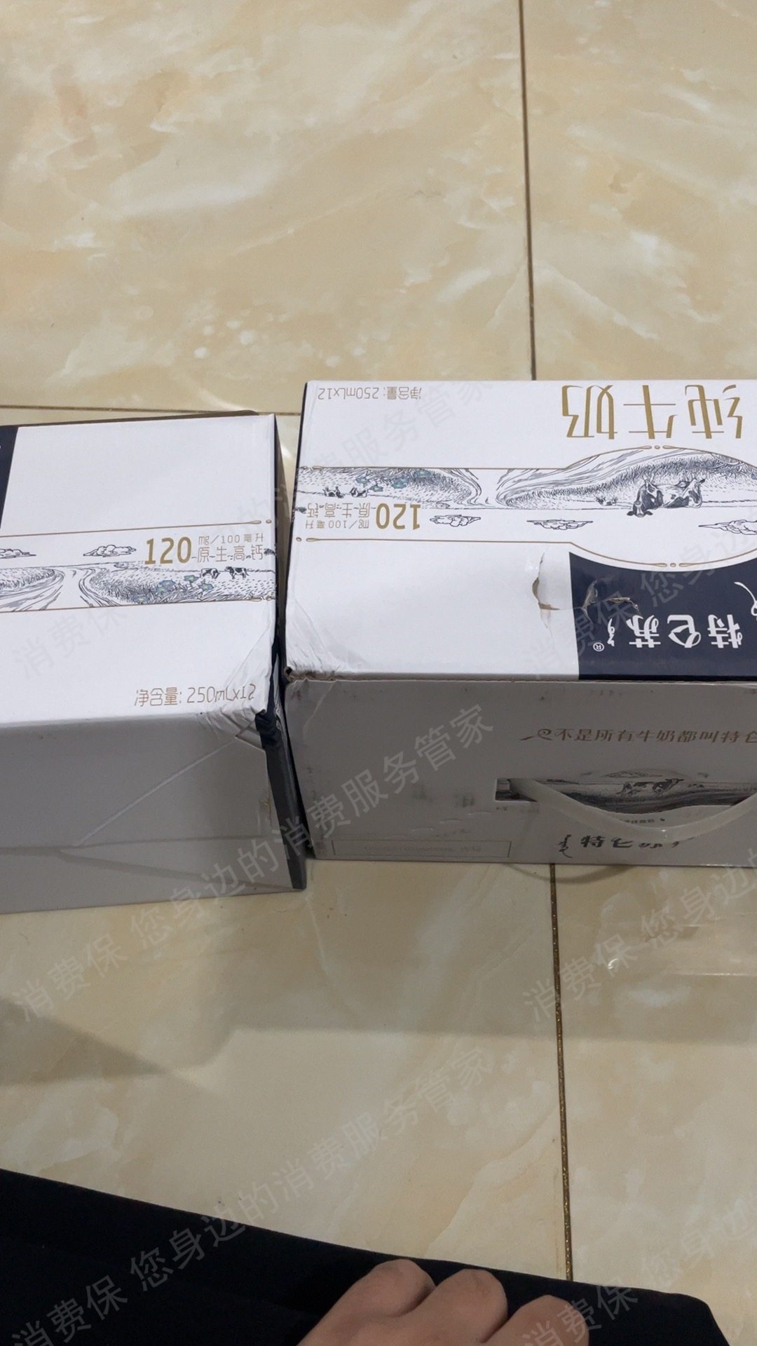 蒙牛（抖音旗舰店）