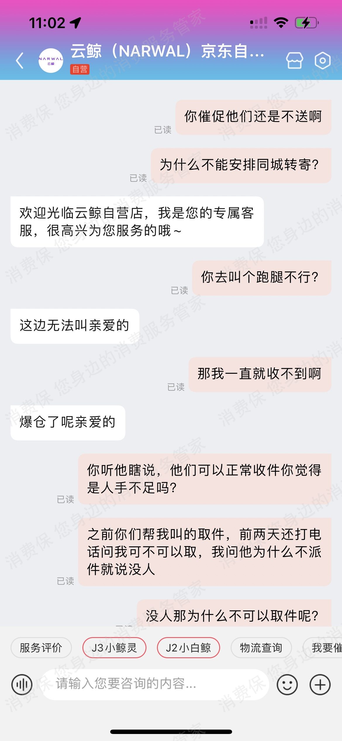 云鲸