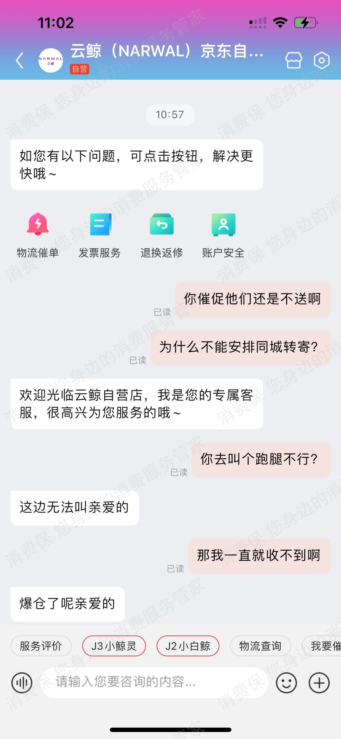 云鲸