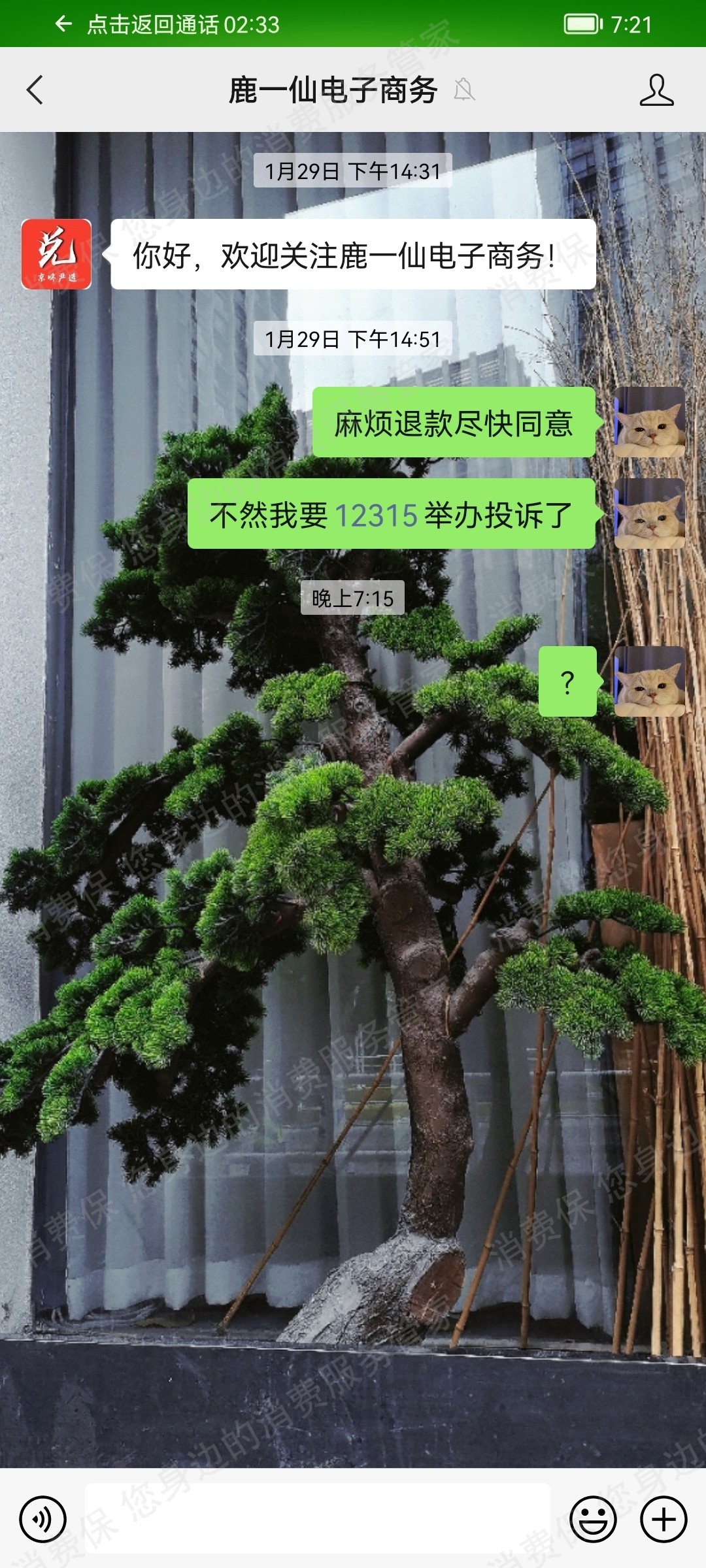 趣小芒