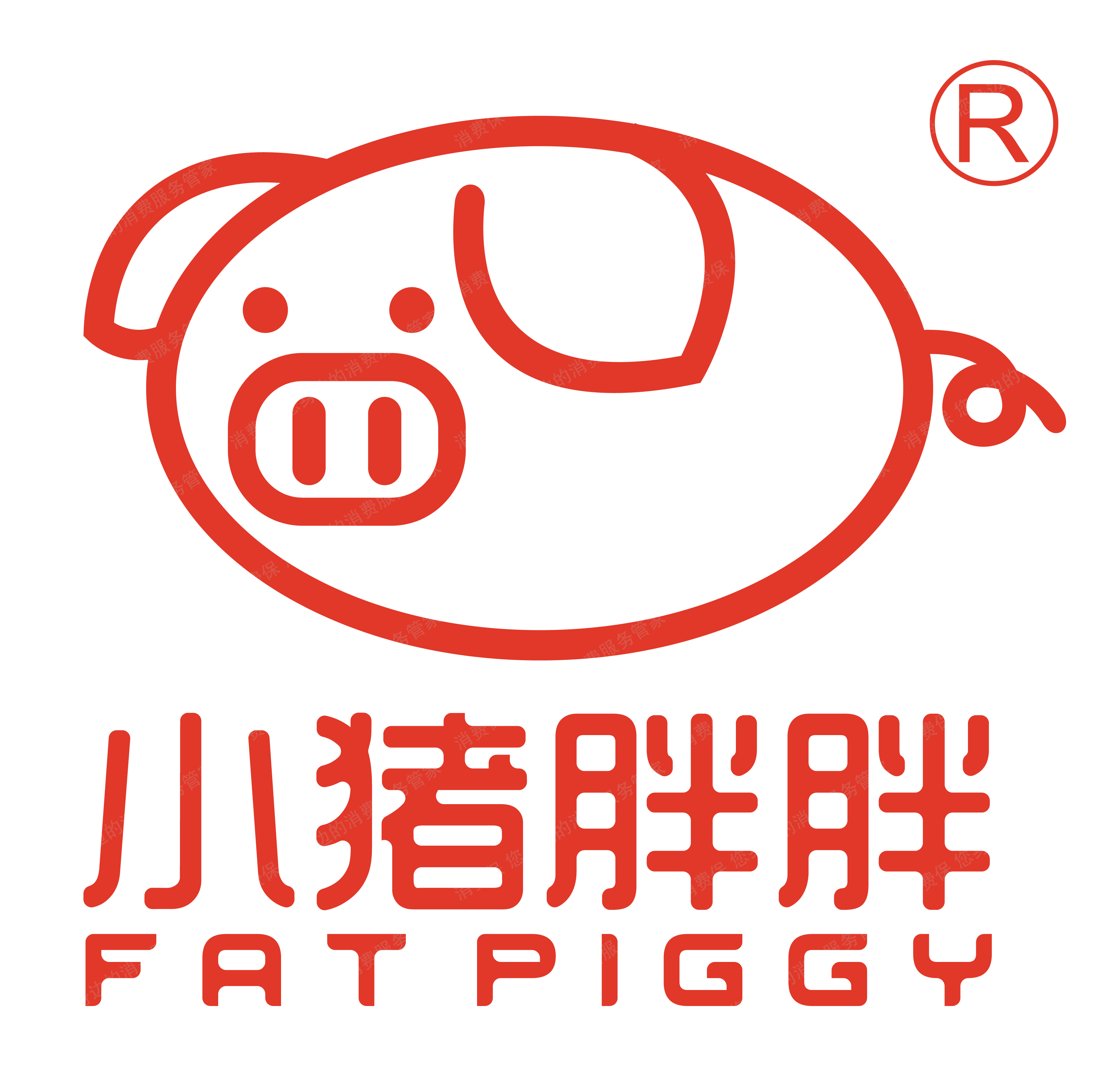小猪胖胖