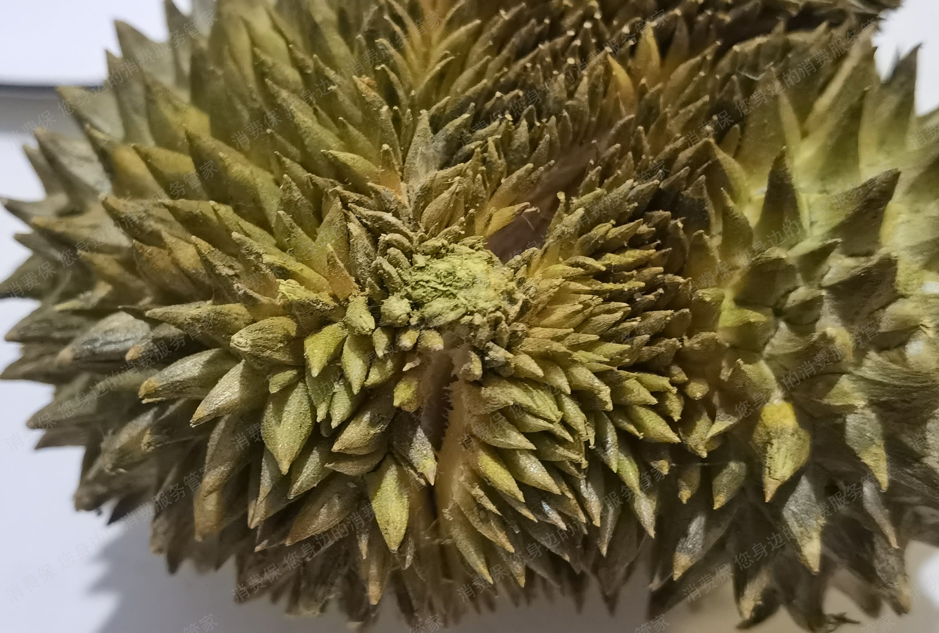 花城农夫货不对版