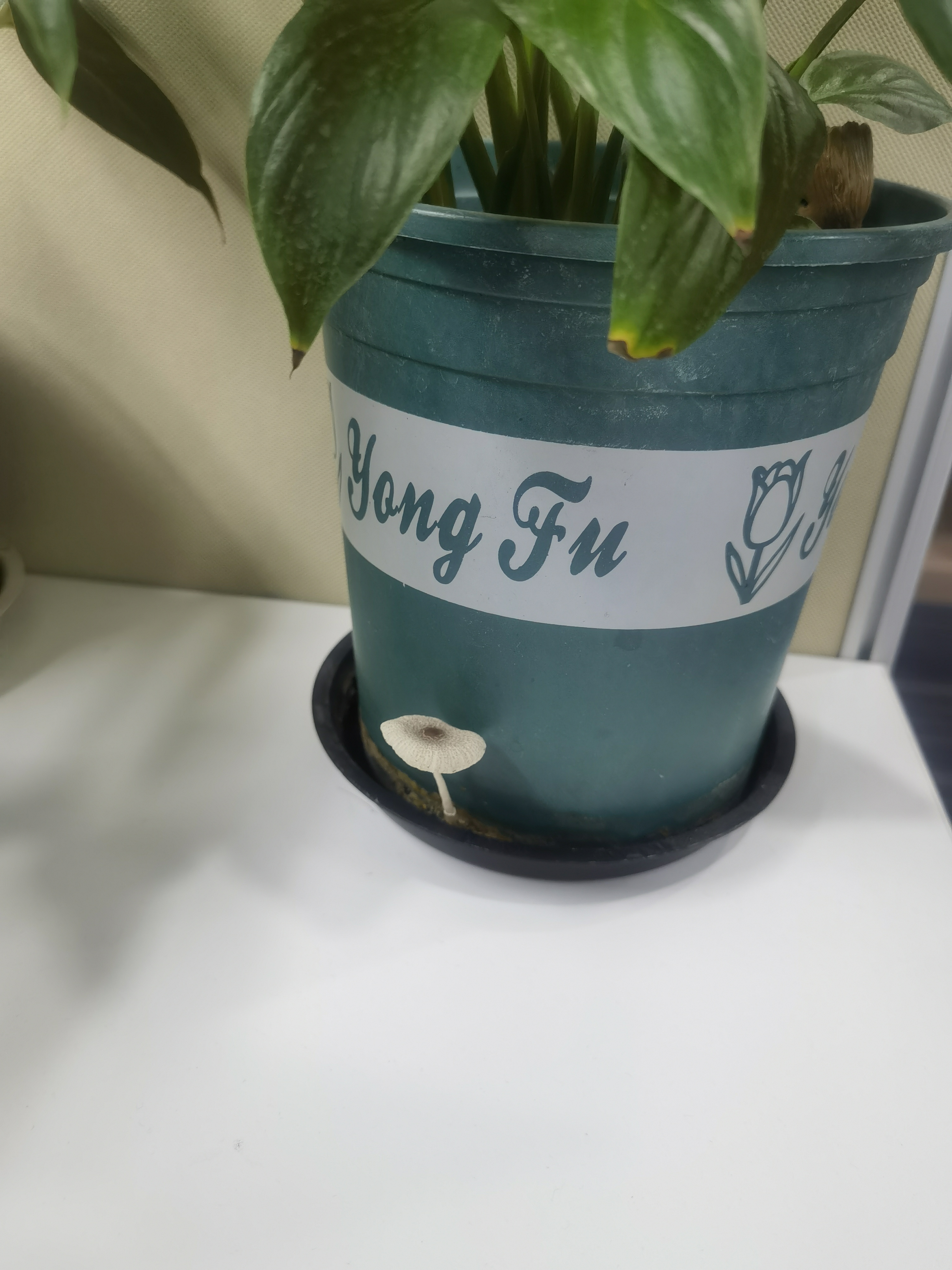 用户发起投诉