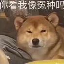 用户发起投诉