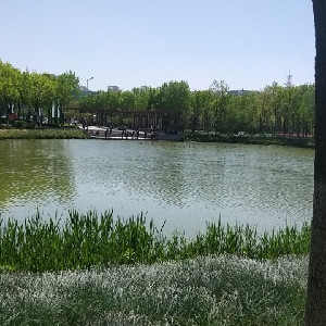 用户发起投诉