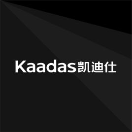 凯迪仕天猫店
