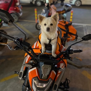 用户评价