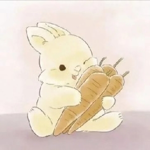 用户评价