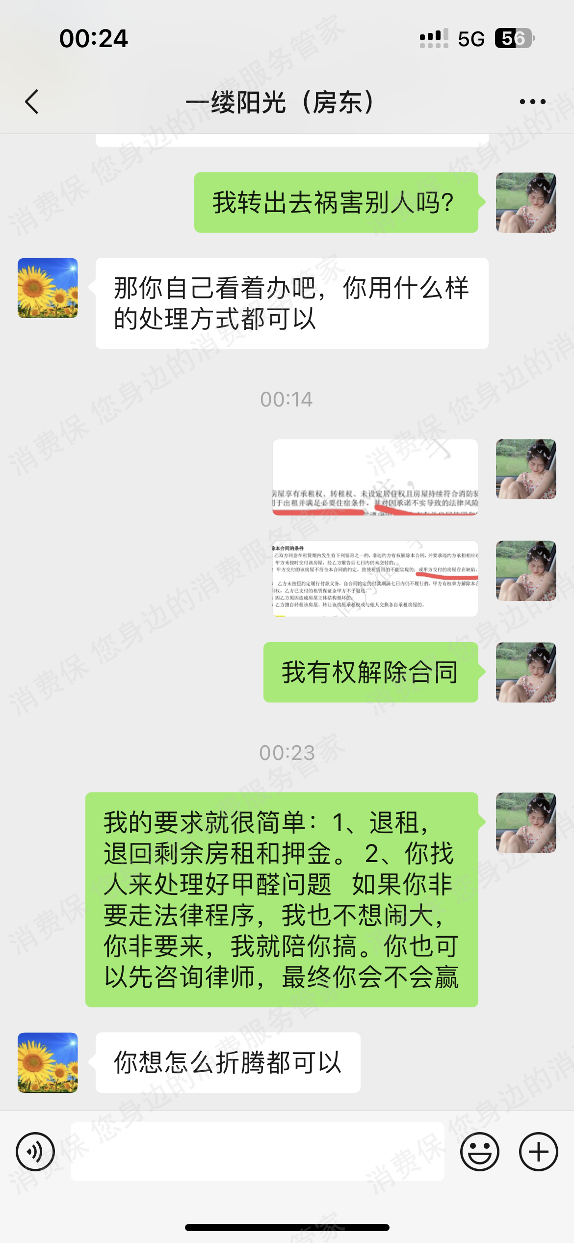 巴乐兔甲醛超标