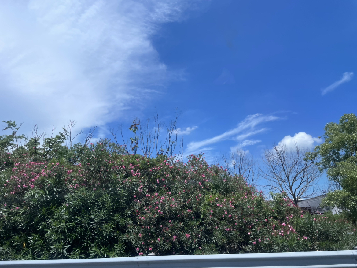 用户发起投诉