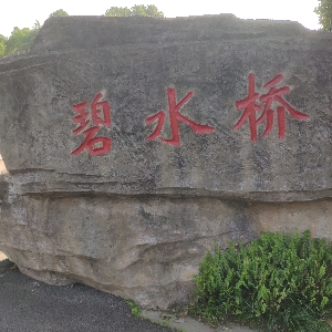 用户发起投诉