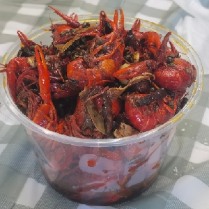 用户发起投诉
