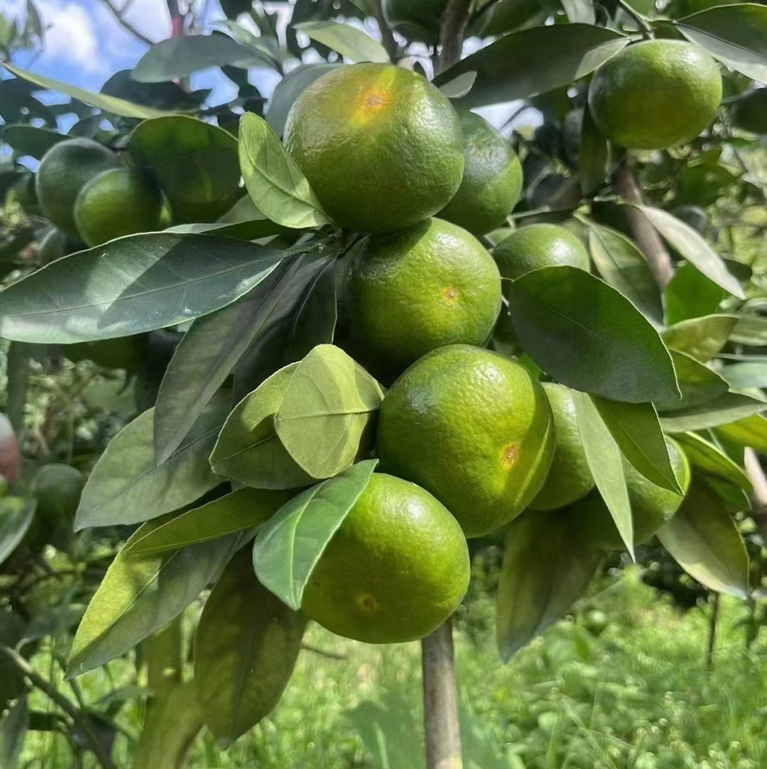 用户发起投诉