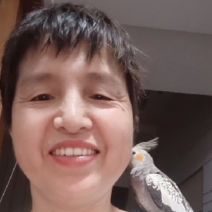 用户发起投诉