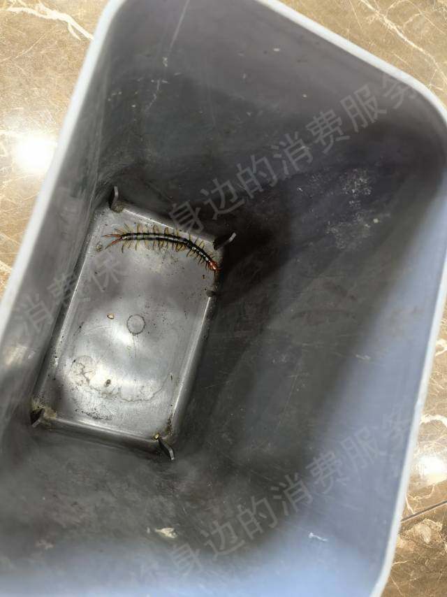 小猪民宿入住环境差