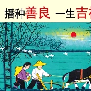 用户评价