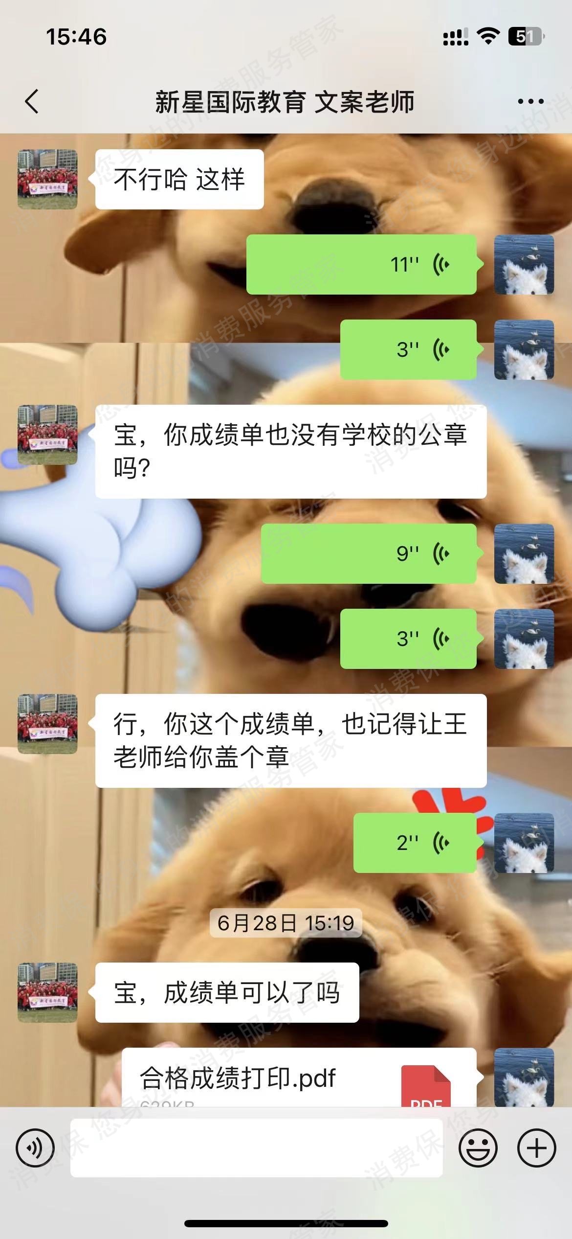 新星国际教育退款纠纷