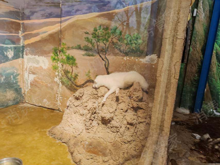 zoolung动物主题公园虚假宣传