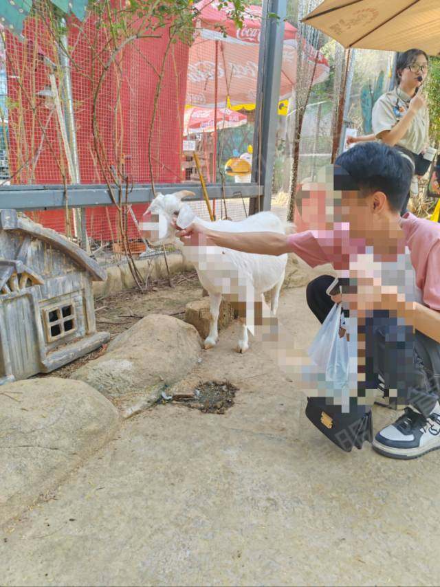 zoolung动物主题公园服务态度差