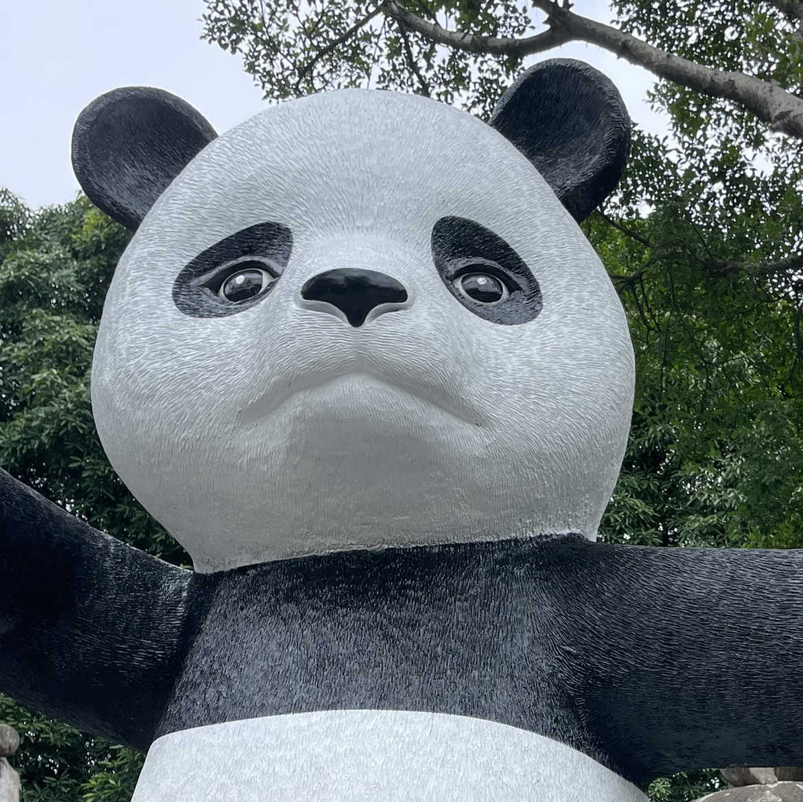 用户发起投诉