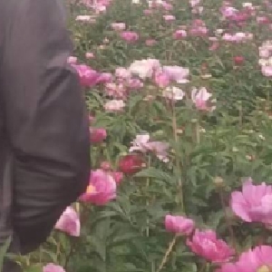 用户评价