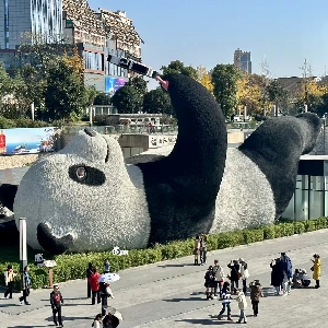 用户评价