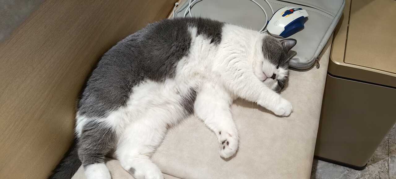 用户发起投诉
