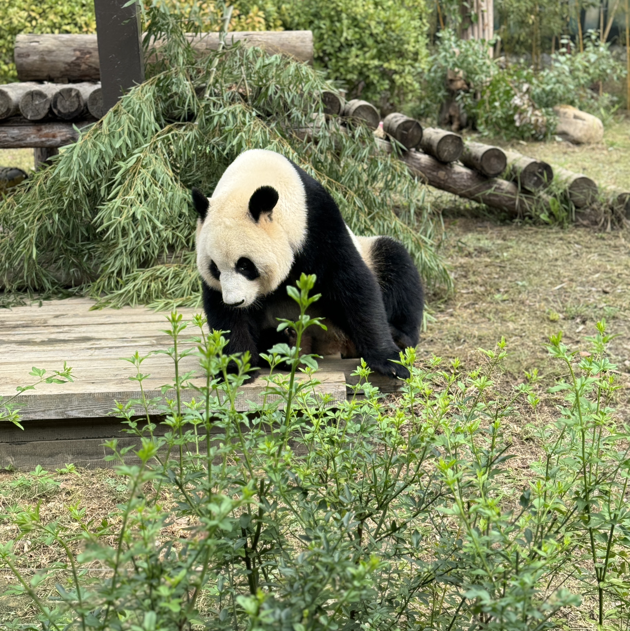 用户申请完结