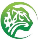 小豹出行