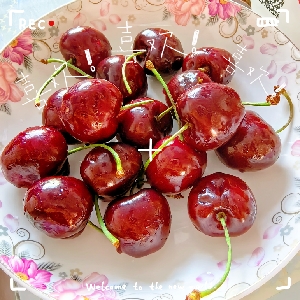 用户发起投诉