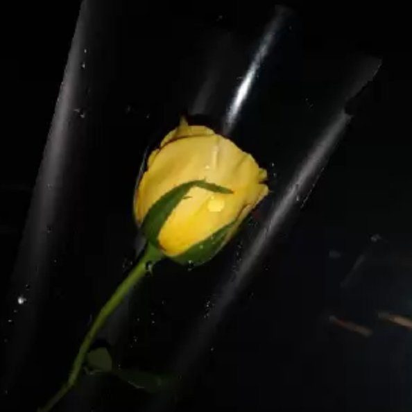用户发起投诉