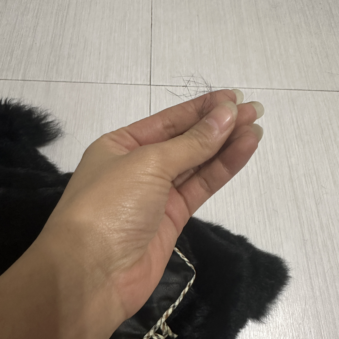 快手里卖的长毛是什么
