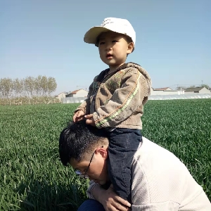 用户评价