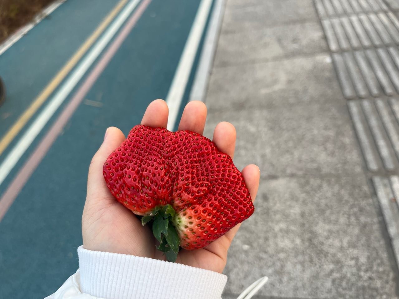 用户发起投诉